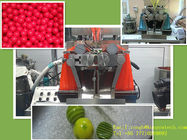 तेल और तरल पेस्ट के लिए 7 इंच सॉफ़्टजेल कैप्सूल हलाल सामग्री Vgel Encapsulation मशीन