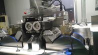 मछली के तेल सॉफ़्टजेल 120000 पीसी / एच . के लिए फार्मास्युटिकल सॉफ्टगेल कैप्सूल मशीन