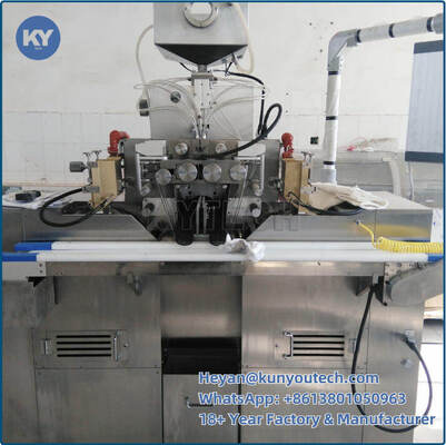 गुणवत्ता  3 Kw Small Batch Soft Capsule Making Machine For Laboratory कारखाना