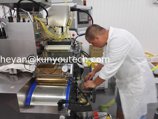 खाद्य-मछली के तेल, विटामिन और मधुमक्खी शहद के लिए स्वचालित कैप्सूल भरने की मशीन