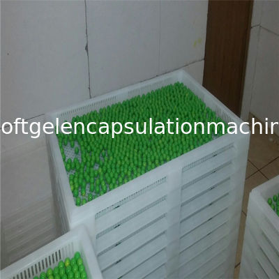 सॉफ्टगेल कैप्सूल प्लास्टिक सुखाने ट्रे उच्च तापमान असर अनुकूलित रंग