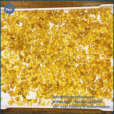 कैप्सूल कैंडी के लिए आईएसओ 9 001 पीपीई प्लास्टिक सुखाने ट्रे 75 * 55 * 5 सेमी