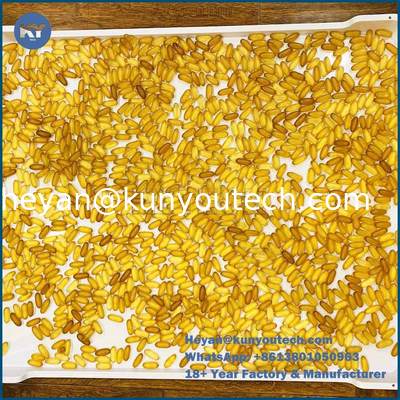 पीपी/एबीएस सामग्री फ्लैट बॉटम प्लास्टिक ड्राइंग ट्रे 758x608x40 मिमी कैप्सूल ड्राइंग के लिए