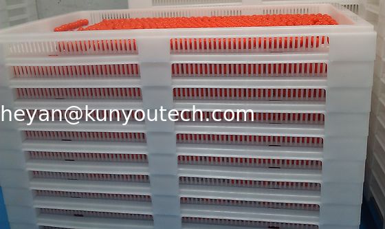 व्हाइट फूड ग्रेड स्टैकेबल प्लास्टिक ट्रे / कूलिंग ट्रे 762 * 495 * 55 मिमी