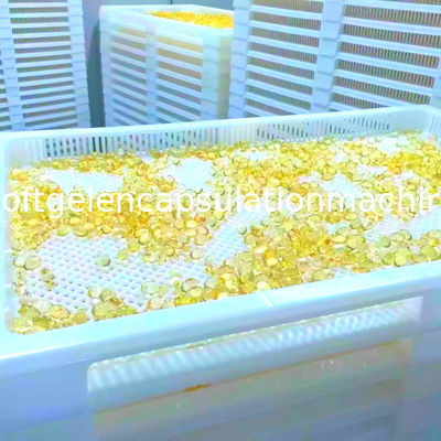छोटी शुरुआत मछली का तेल 12000 पीसी / एच सॉफ्टगेल एनकैप्सुलेशन मशीन