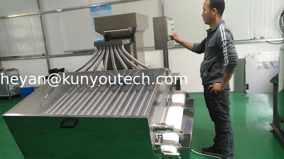 फार्मास्युटिकल उद्योग के लिए सॉफ्टगेल गोलियां 00 # कैप्सूल छँटाई मशीन
