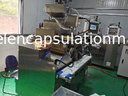 CE प्रमाणपत्र सॉफ्टजेल मशीनें 5rpm सर्वो पीएलसी नियंत्रण