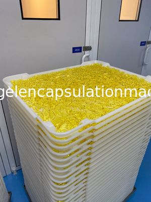 पीपी एबीएस फ्लैट नीचे पीपीई सीई प्लास्टिक सुखाने ट्रे कैप्सूल सुखाने में 5 सेमी