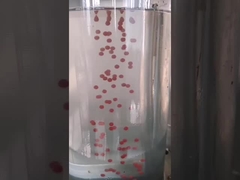 कैनबिस ऑयल ऑलिव ऑयल 13kw सॉफ्टगेल इनकैप्सुलेशन मशीन