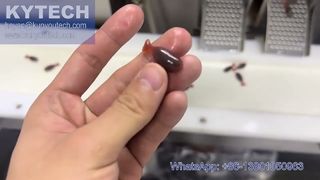 मछली के आकार की सर्वो सॉफ़्टजेल इनकैप्सुलेशन मशीन